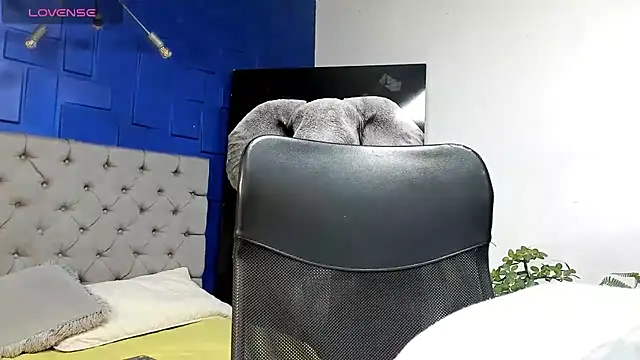 casike1 online show from October 15, 5:26 am