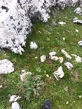 Sert erkek21 ysm online show from March 25, 12:20 pm