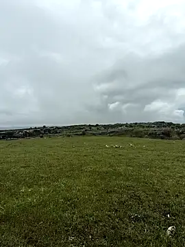 Sert erkek21 ysm online show from April 20, 1:13 pm