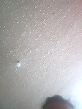 Snapshot of Tophe1 chatting on October 14, 5:25 am Tophe1 online show from October 14, 5:25 am