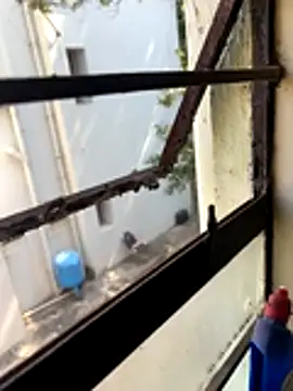 umaaNorth online show from November 9, 7:56 am