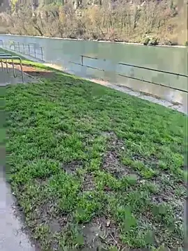 AlexGogo23 online show from March 24, 1:27 pm