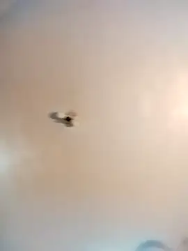 james81mzmga online show from November 2, 3:27 pm