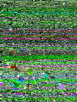 Dev2k22 online show from December 17, 6:14 pm