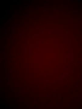 Cannavaro5 online show from December 2, 10:24 pm