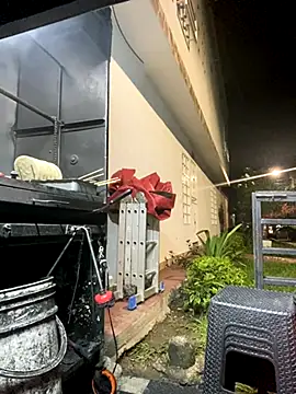 Dylams maja online show from November 17, 2:25 am