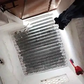 babhitelugu77 online show from January 18, 4:25 am