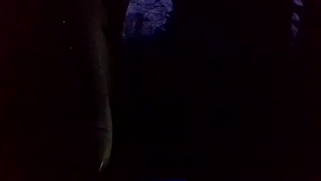 dickencidr online show from March 19, 12:14 am