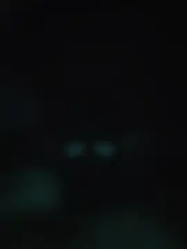 00x0x00 online show from May 20, 3:13 am