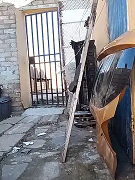 Eezxxx online show from June 5, 7:25 am