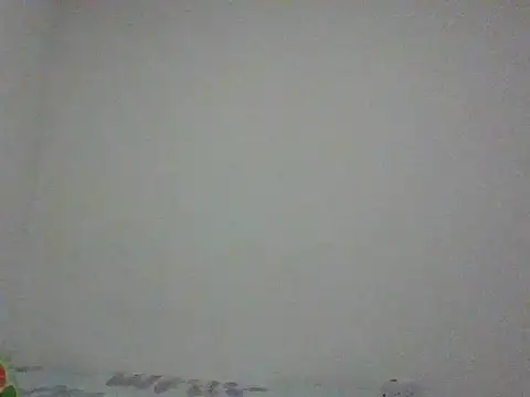 monojerez online show from January 13, 12:20 pm