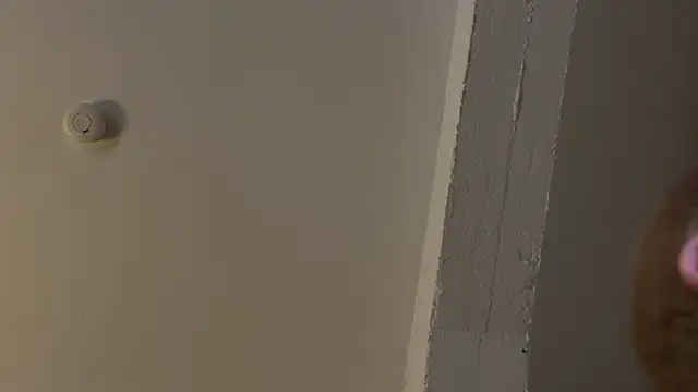 AndyLD20x6 online show from November 29, 12:01 am