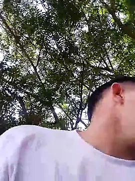 bigbo 777 online show from December 18, 5:09 pm