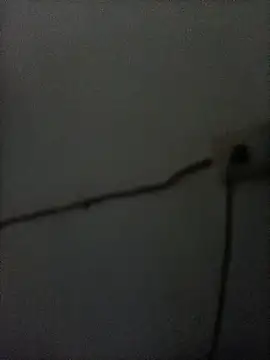 Papajaycee online show from December 15, 7:05 am