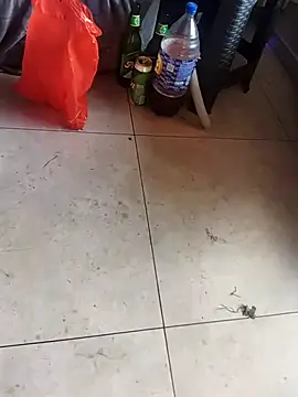 hi2767 online show from December 21, 2:03 pm