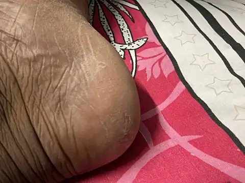 delhi real bull online show from December 17, 4:24 pm