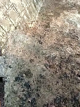 Tamilpaiyan07 online show from March 8, 2:04 am