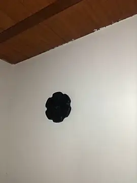 seth c online show from March 21, 6:12 pm