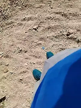 Lic Morboso online show from January 12, 8:24 pm