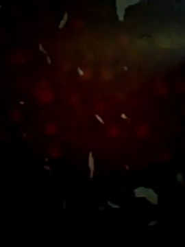 CockForPussy1508 online show from February 2, 6:01 am