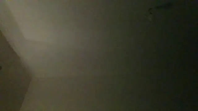 SnakeBit3s online show from May 16, 1:25 am