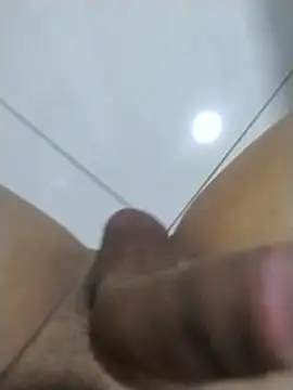 Pauzudodapicapreta online show from January 17, 3:53 am