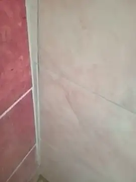 dickyk online show from January 18, 9:11 am