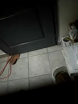 Punciprof online show from April 9, 9:32 pm