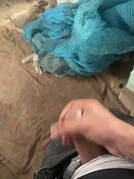 dragon ndragos online show from February 3, 11:37 am