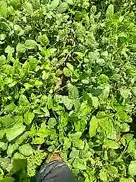 Cute Boy 4 online show from April 9, 6:30 am