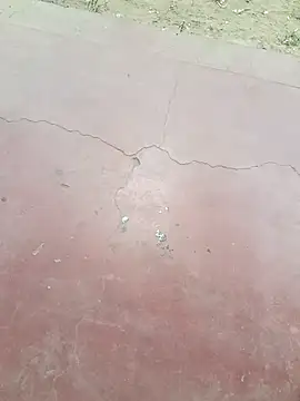 kalai 32 online show from April 22, 6:41 am