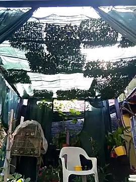 gordorichard online show from February 21, 12:39 pm