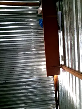 Snapshot of DocCock021 chatting on February 7, 5:03 am DocCock021 online show from February 7, 5:03 am