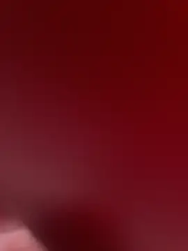 stallone italiano 62 online show from February 9, 11:15 am