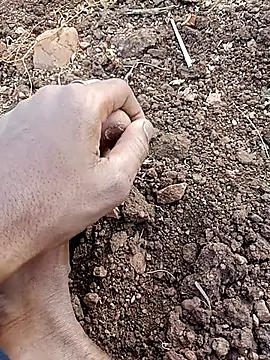 yusu 3 online show from February 23, 11:56 am