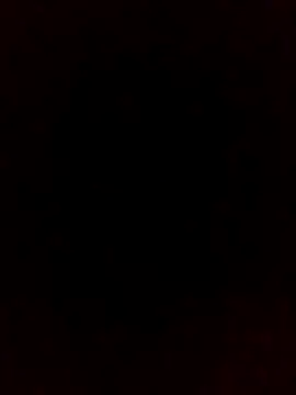 falcon2589 online show from February 21, 2:34 am