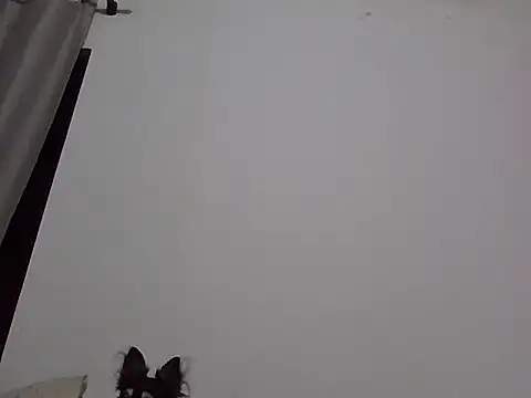 machodotado97 online show from March 2, 5:41 am