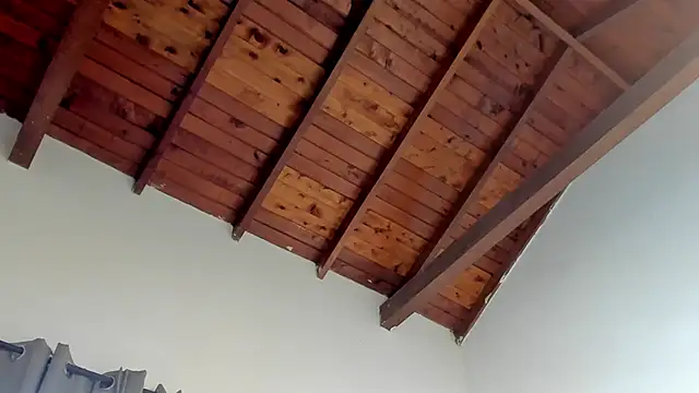 TonyPetrovjs online show from March 14, 5:36 am