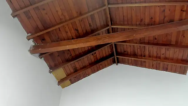 TonyPetrovjs online show from March 15, 7:38 am