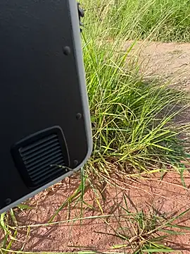 boladeouro126 online show from April 14, 5:45 pm