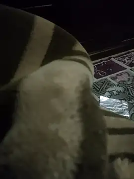 Pop1977 online show from April 9, 12:55 pm