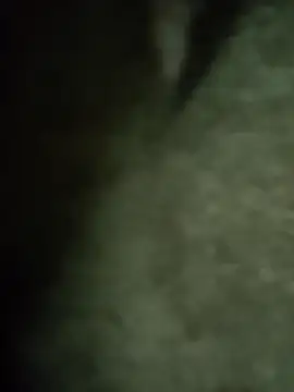 Pop1977 online show from April 7, 2:06 pm