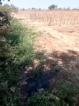 new sexy couple online show from March 13, 8:22 am