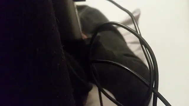 vitiligocockmasked online show from March 22, 10:04 pm