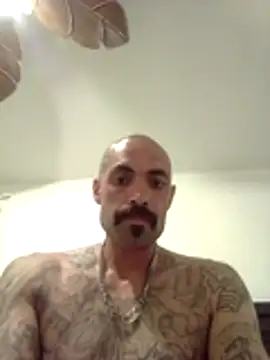wesstfine online show from May 19, 4:41 am