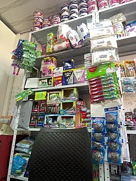 Dimitri Colleman online show from September 25, 7:46 pm