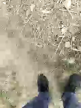 Snapshot of ThethunderPo chatting on January 4, 2:46 pm ThethunderPo online show from January 4, 2:46 pm