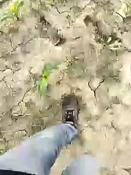 Snapshot of ThethunderPo chatting on January 13, 3:01 am ThethunderPo online show from January 13, 3:01 am