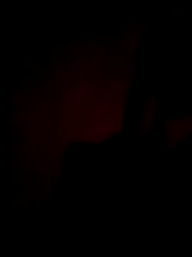 Bengali BULL1 online show from September 29, 6:15 pm