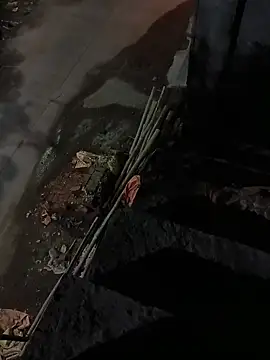 Bengali BULL1 online show from October 7, 4:33 pm